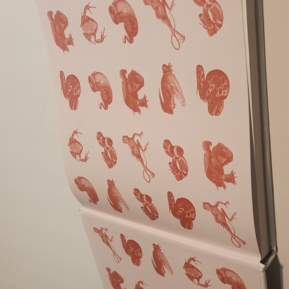 Snakes and Reptiles - Large Hardback Informational Book - Picture 7 of 11